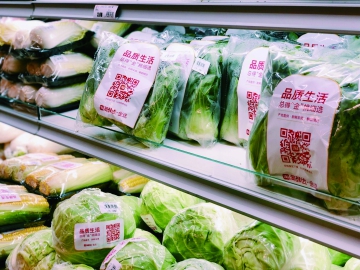 如何讓包裝“綠”起來？